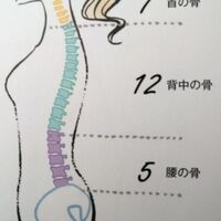 画像1494