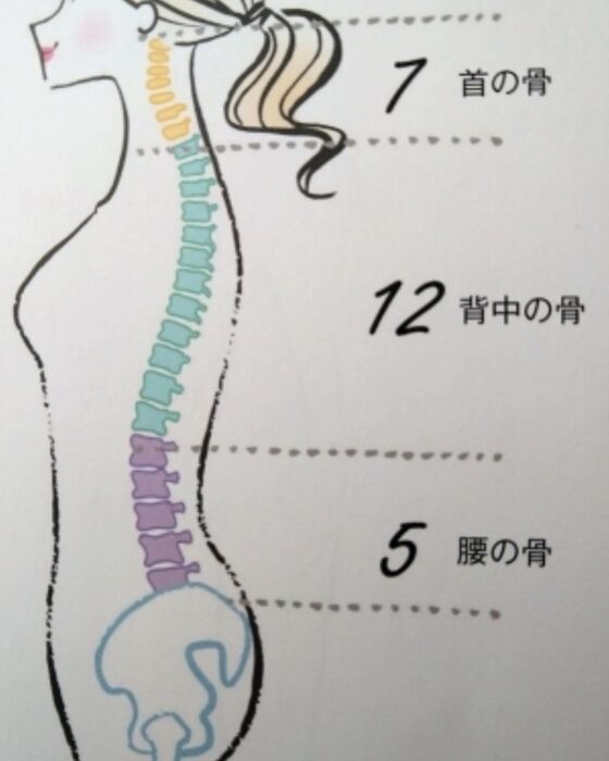 画像1494